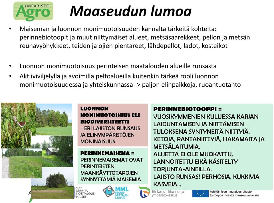 monimuotoisuudessa ja yhteiskunnassa > paljon elinpaikkoja, ruoantuotanto LUONNON MONIMUOTOISUUS ELI BIODIVERSITEETTI = ERI LAJISTON RUNSAUS JA ELINYMPÄRISTÖJEN MONINAISUUS PERINNEMAISEMA =