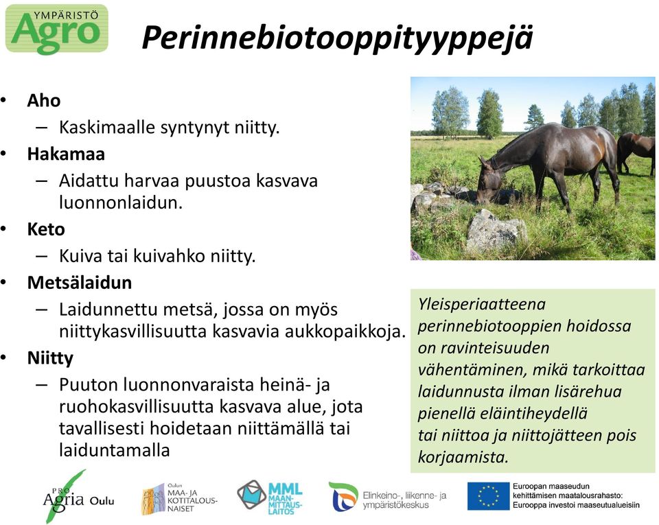 Niitty Puuton luonnonvaraista heinä ja ruohokasvillisuutta kasvava alue, jota tavallisesti hoidetaan niittämällä tai laiduntamalla