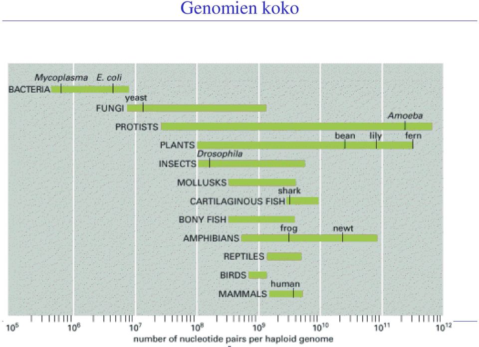 DNA Sequencing