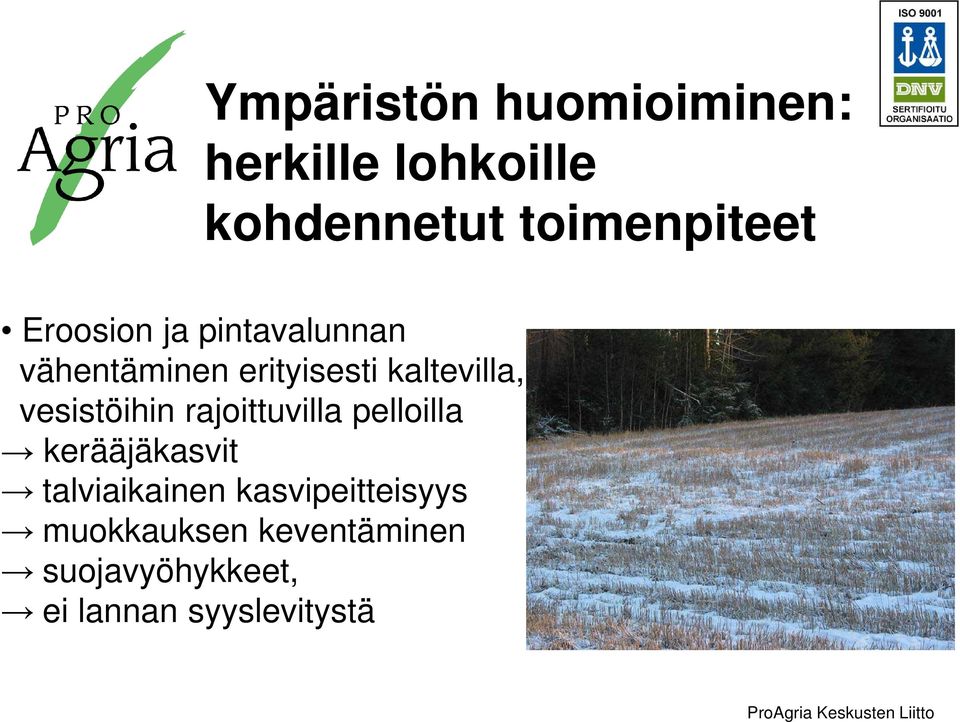 vesistöihin rajoittuvilla pelloilla kerääjäkasvit talviaikainen