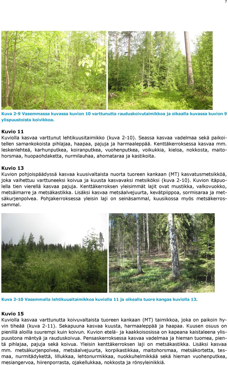 leskenlehteä, karhunputkea, koiranputkea, vuohenputkea, voikukkia, kieloa, nokkosta, maitohorsmaa, huopaohdaketta, nurmilauhaa, ahomataraa ja kastikoita.