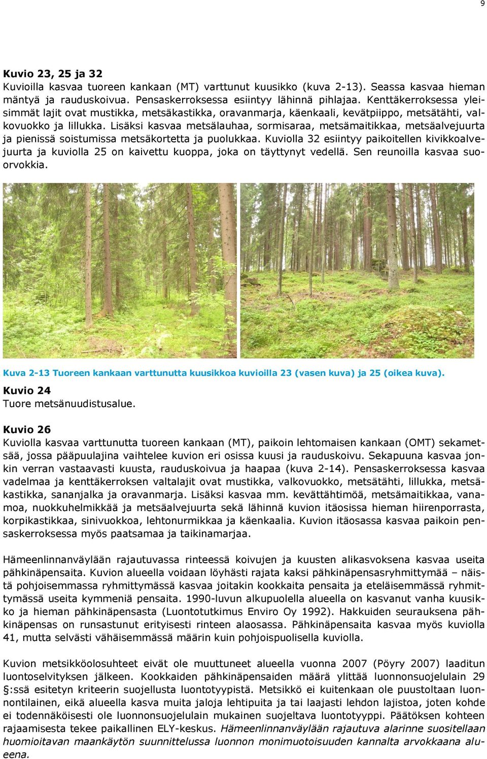 Lisäksi kasvaa metsälauhaa, sormisaraa, metsämaitikkaa, metsäalvejuurta ja pienissä soistumissa metsäkortetta ja puolukkaa.