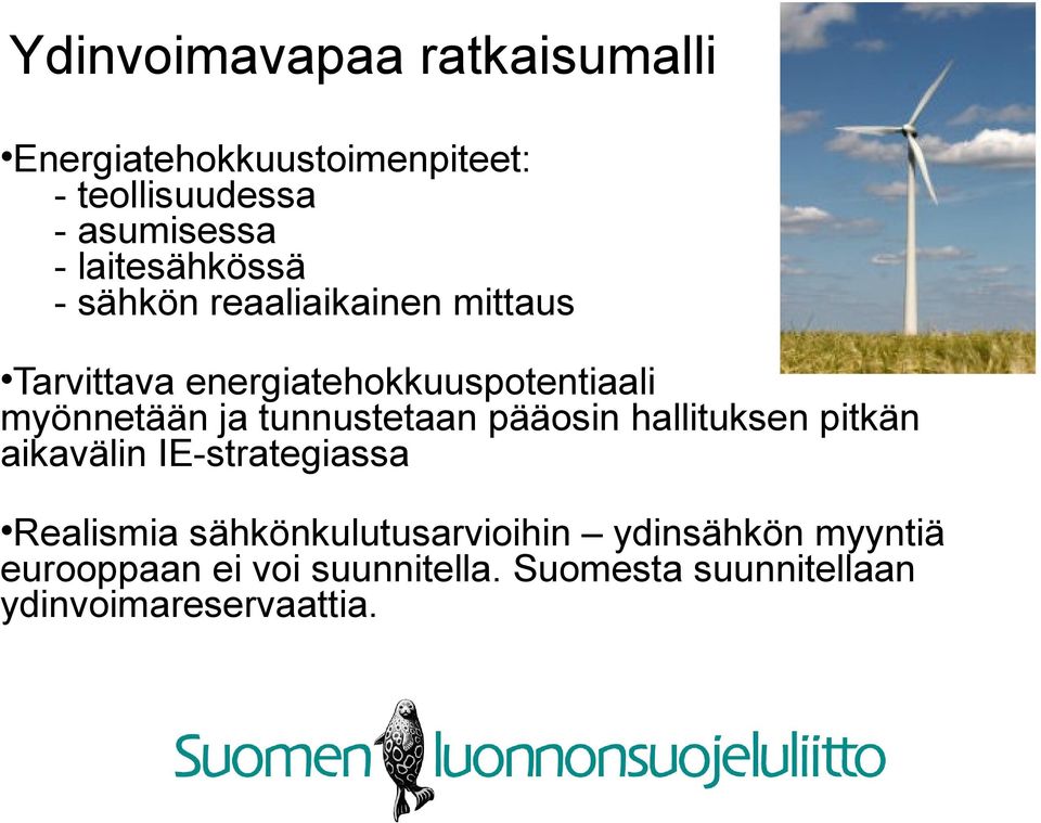 ja tunnustetaan pääosin hallituksen pitkän aikavälin IE-strategiassa Realismia