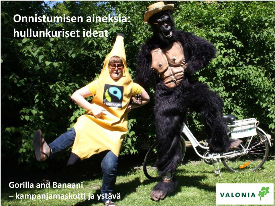 Gorilla and Banaani
