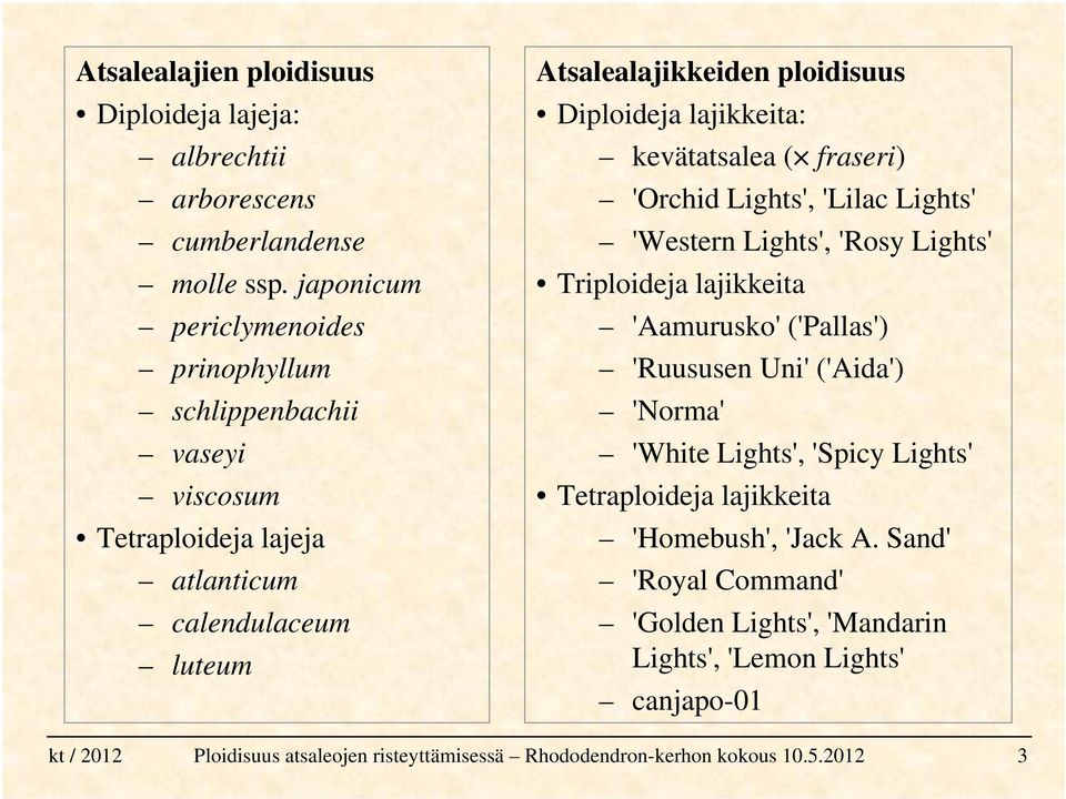 ploidisuus Diploideja lajikkeita: kevätatsalea ( fraseri) 'Orchid Lights', 'Lilac Lights' 'Western Lights', 'Rosy Lights' Triploideja lajikkeita