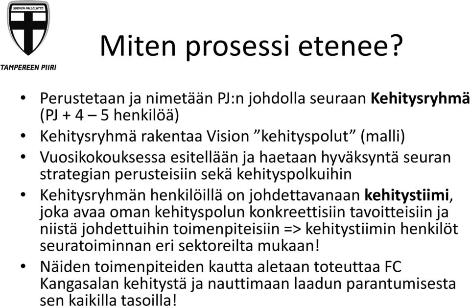 esitellään ja haetaan hyväksyntä seuran strategian perusteisiin sekä kehityspolkuihin Kehitysryhmän henkilöillä on johdettavanaan kehitystiimi, joka