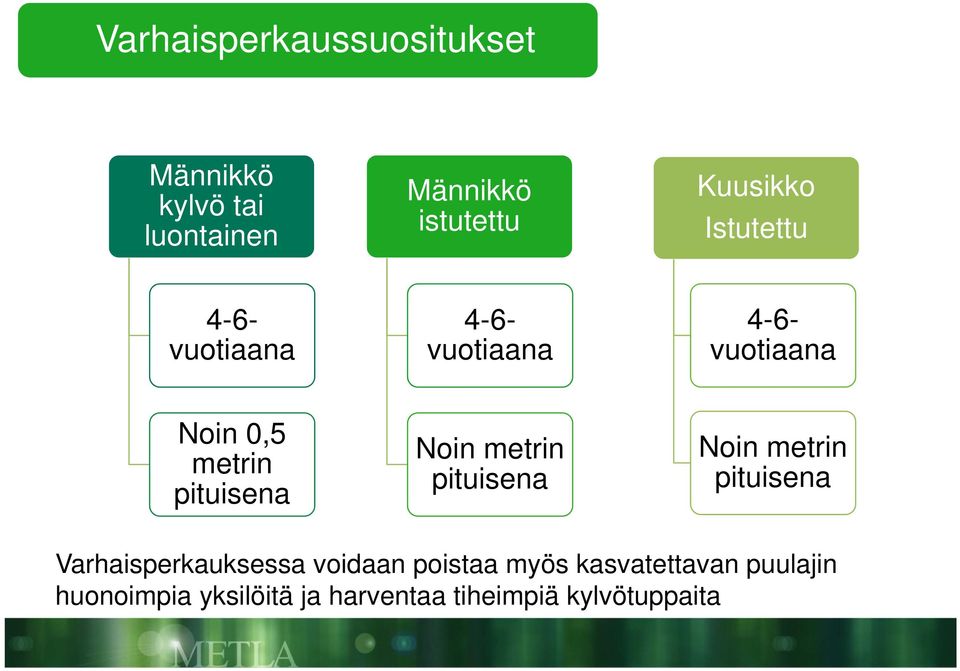 pituisena Noin metrin pituisena Noin metrin pituisena Varhaisperkauksessa voidaan