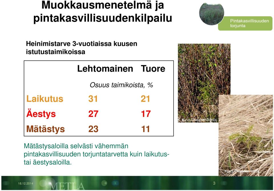 17 Mätästys 23 11 Kuva Oksanen/Metla Mätästysaloilla selvästi vähemmän