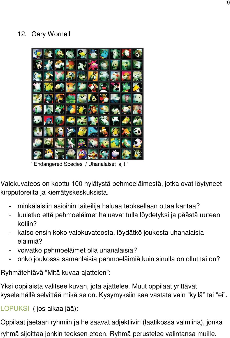 - katso ensin koko valokuvateosta, löydätkö joukosta uhanalaisia eläimiä? - voivatko pehmoeläimet olla uhanalaisia? - onko joukossa samanlaisia pehmoeläimiä kuin sinulla on ollut tai on?