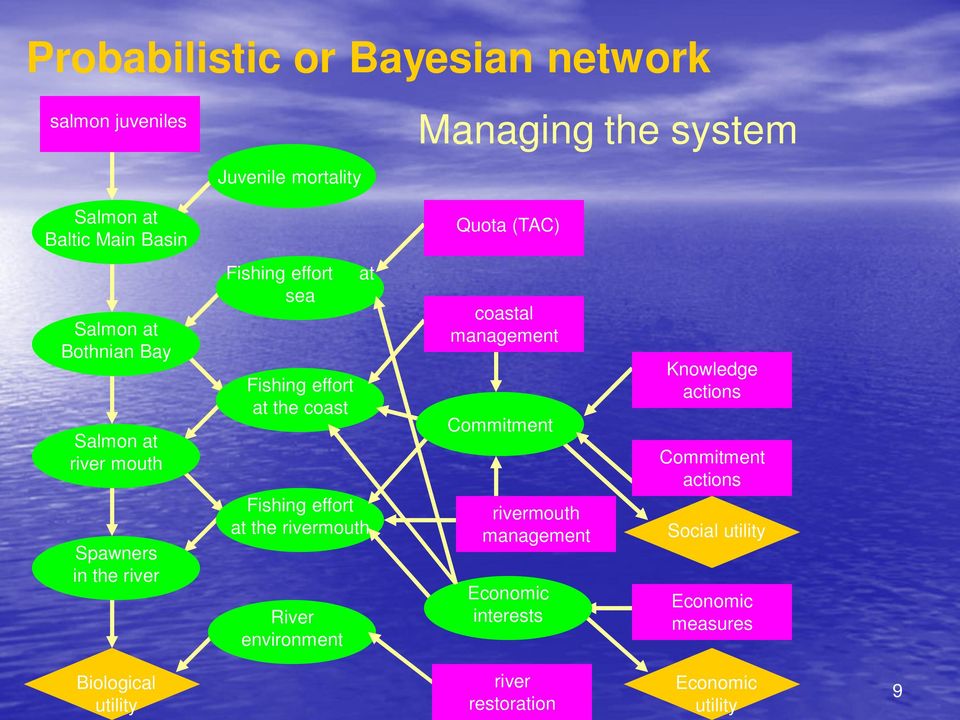 Fishing effort at the rivermouth River environment coastal management Commitment rivermouth management Economic interests