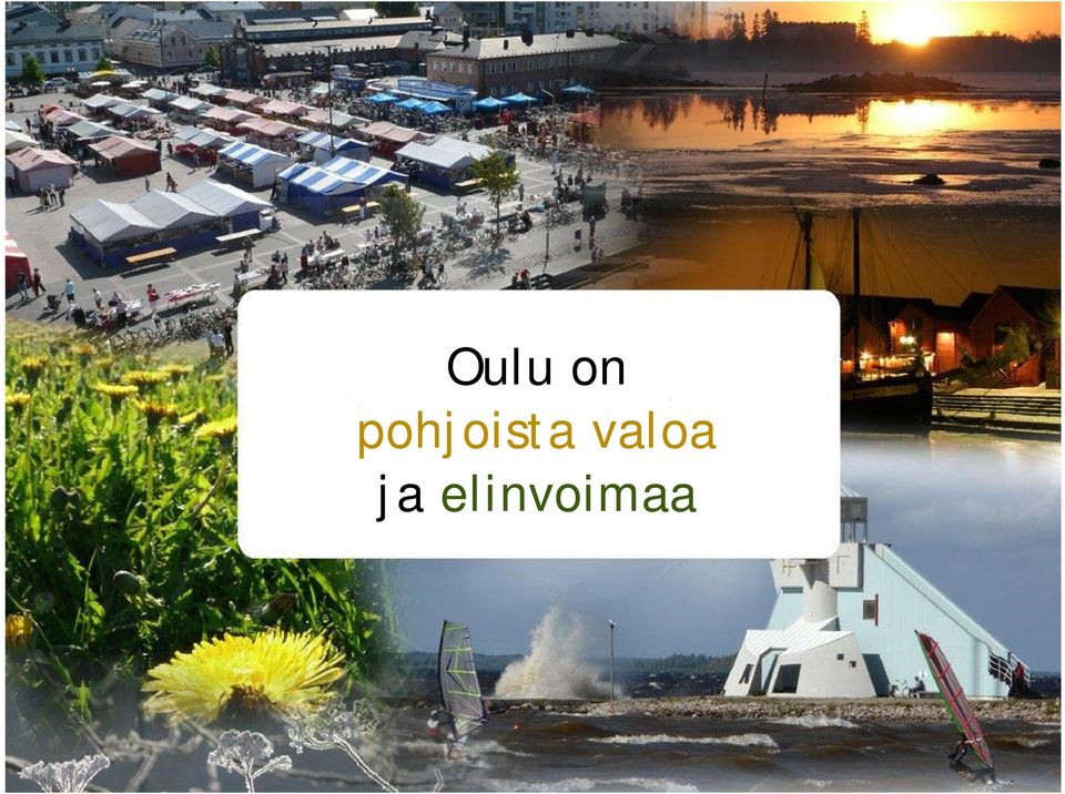 pohjoista valoa - johtamisjärjestelmä ja omistajapolitiikka ja elinvoimaa Pohjoinen metropoli