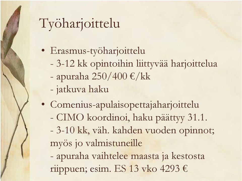 Comenius-apulaisopettajaharjoittelu - CIMO koordinoi, haku päättyy 31.