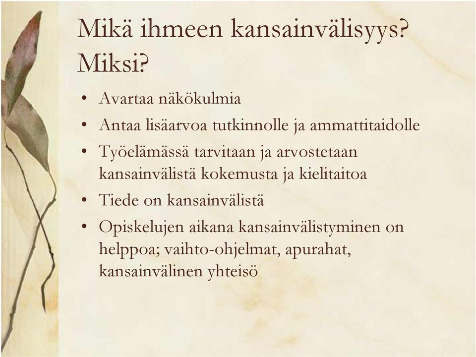 Työelämässä tarvitaan ja arvostetaan kansainvälistä kokemusta ja