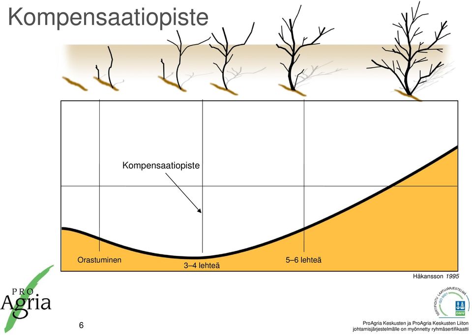 lehteä 5 6 lehteä