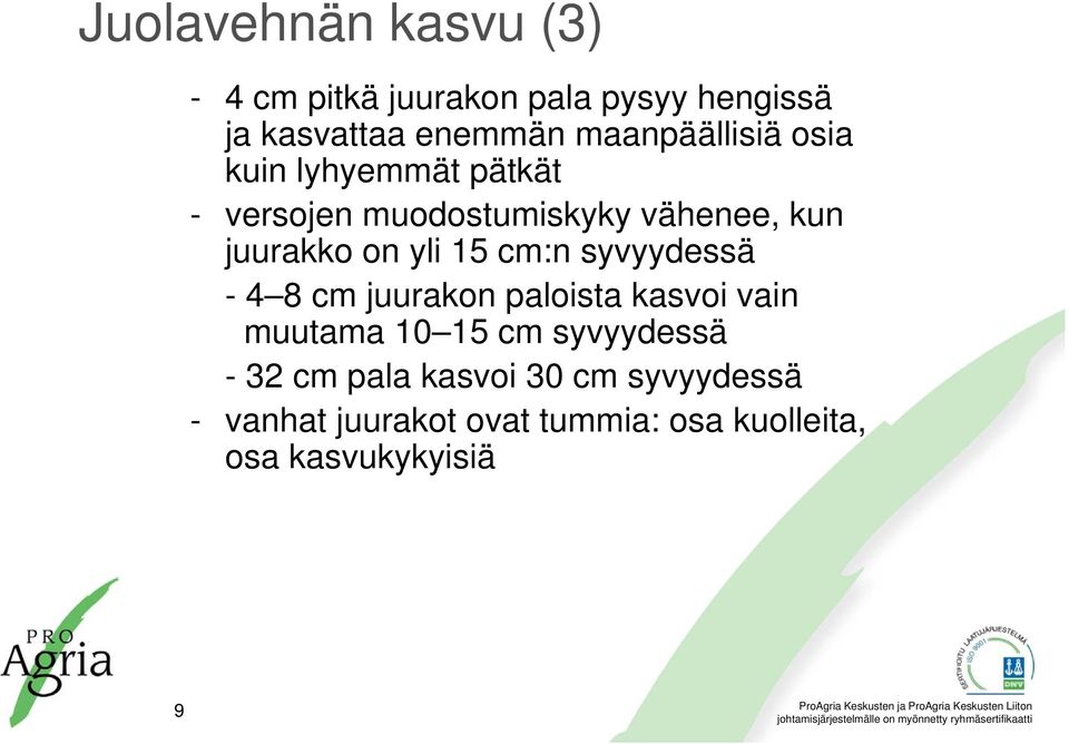 yli 15 cm:n syvyydessä - 4 8 cm juurakon paloista kasvoi vain muutama 10 15 cm syvyydessä -