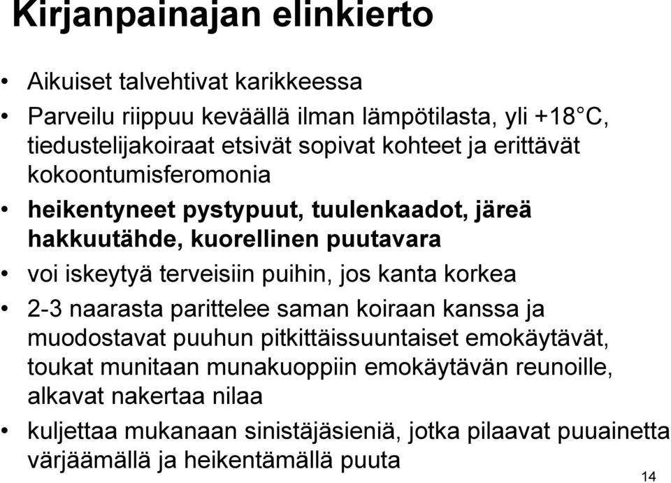 terveisiin puihin, jos kanta korkea 2-3 naarasta parittelee saman koiraan kanssa ja muodostavat puuhun pitkittäissuuntaiset emokäytävät, toukat