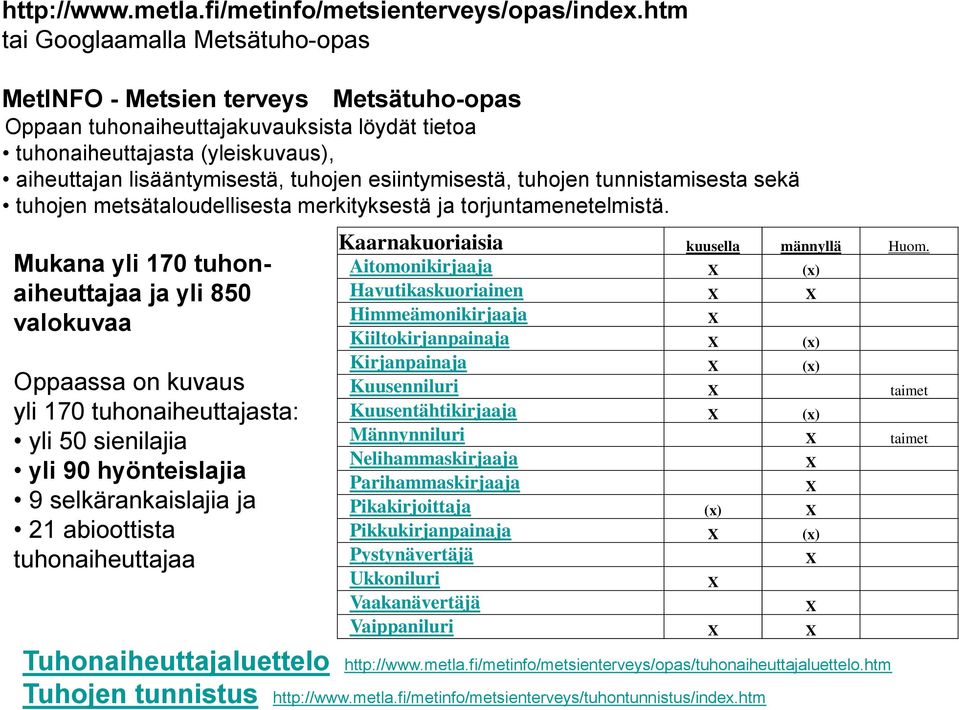 esiintymisestä, tuhojen tunnistamisesta sekä tuhojen metsätaloudellisesta merkityksestä ja torjuntamenetelmistä.