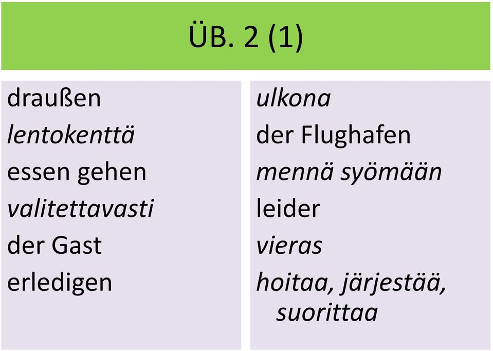 erledigen ulkona der Flughafen mennä