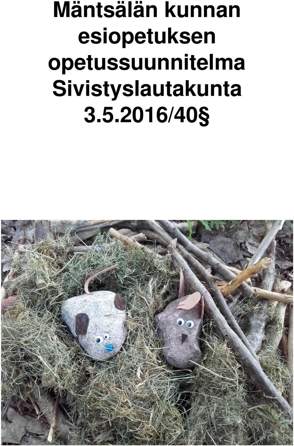 opetussuunnitelma