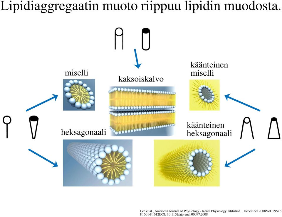 heksagonaali Lee et al.