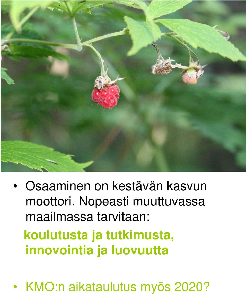 tarvitaan: koulutusta ja tutkimusta,