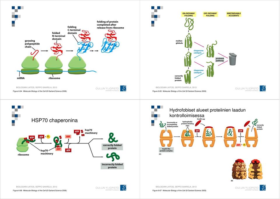 alueet proteiinien laadun kontrolloimisessa Figure 6-86 Molecular Biology of the