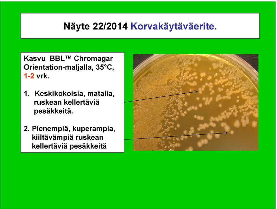 vrk. 1.