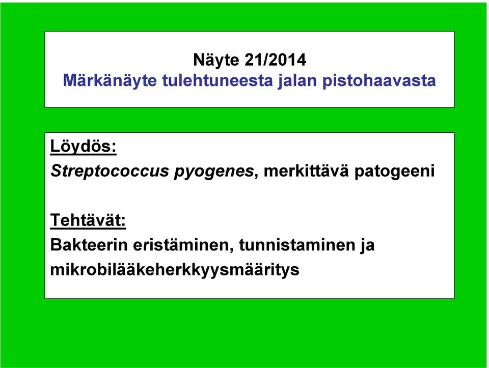 merkittävä patogeeni Tehtävät: Bakteerin