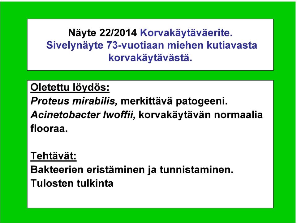 Oletettu löydös: Proteus mirabilis, merkittävä patogeeni.