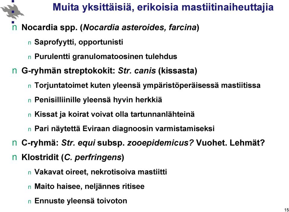 canis (kissasta) Torjuntatoimet kuten yleensä ympäristöperäisessä mastiitissa Penisilliinille yleensä hyvin herkkiä Kissat ja koirat voivat olla