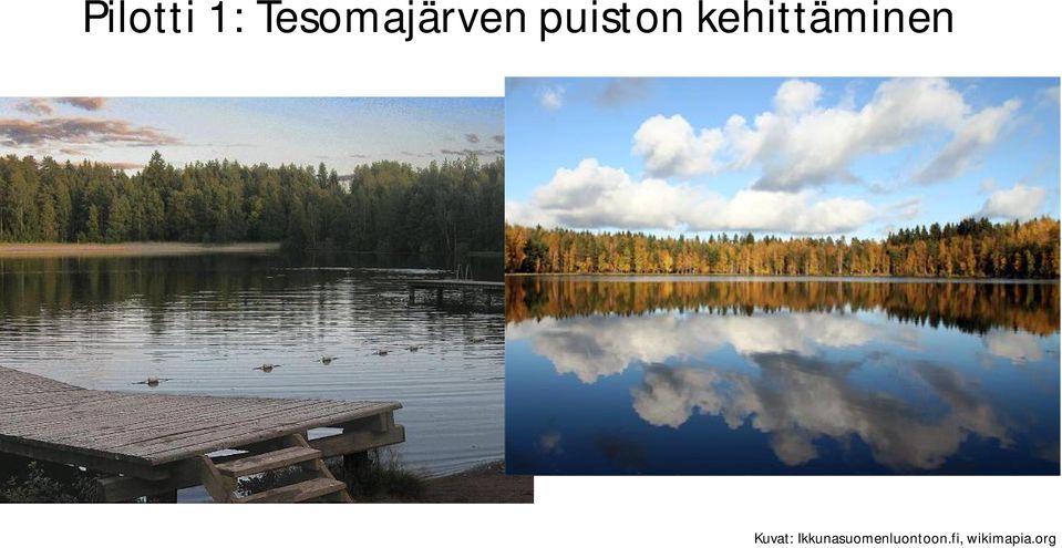 kehittäminen Kuvat: