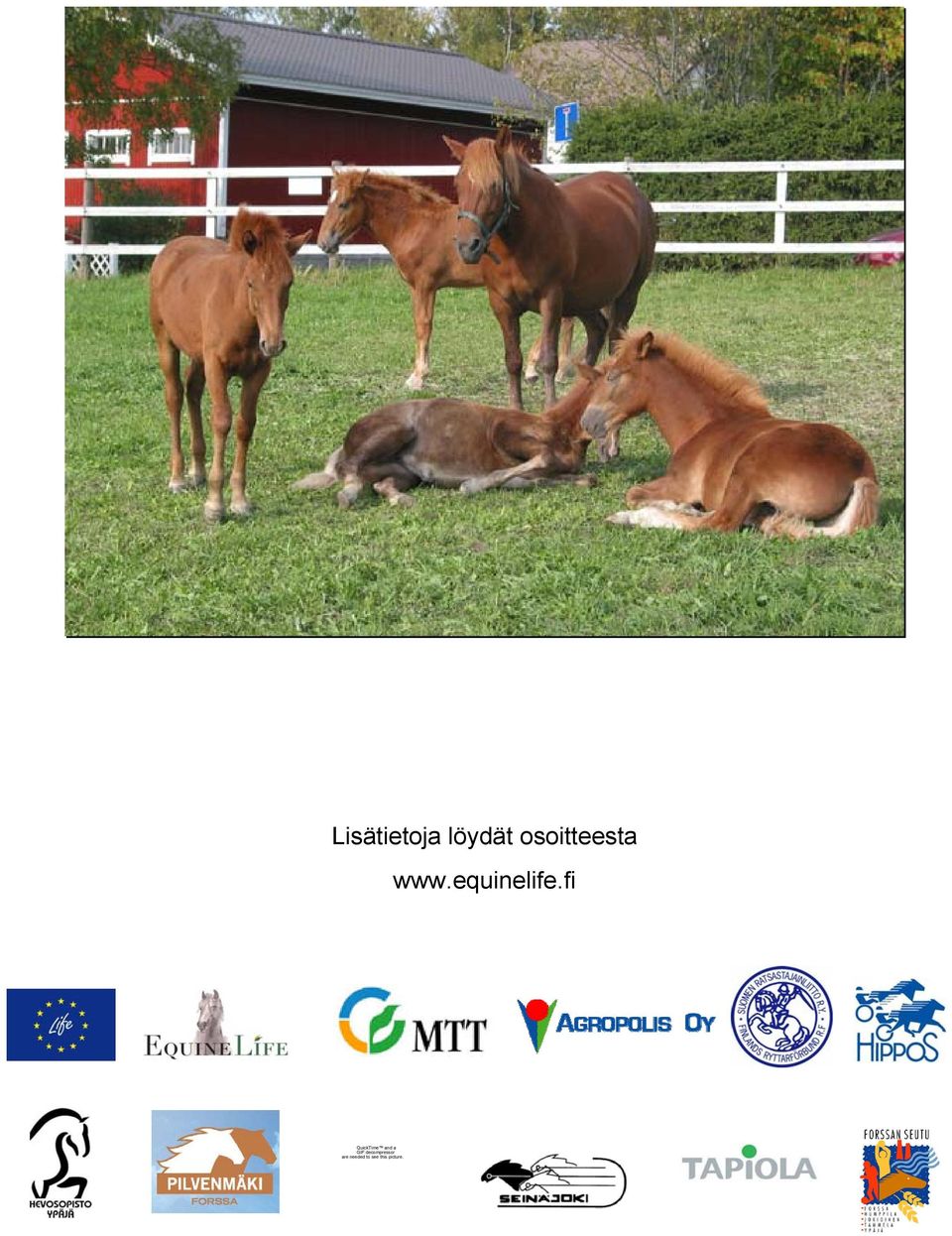 equinelife.