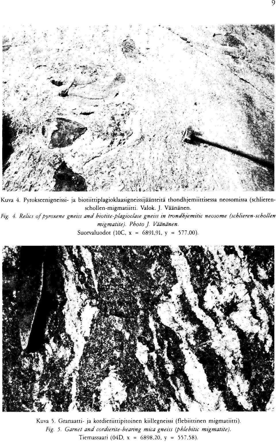 migmatite) Photo J Vadndnen Suorvaluodot (10C, x = 6891,91, y = 577,00) Kuva 5 Granaatti- ja kordieriittipitoinen kiillegneissi