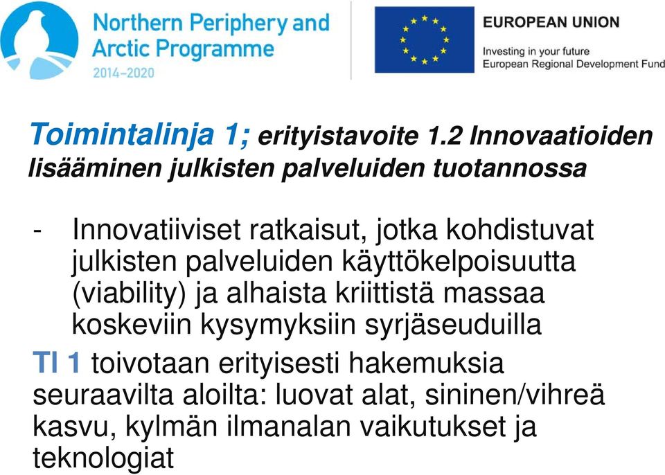 kohdistuvat julkisten palveluiden käyttökelpoisuutta (viability) ja alhaista kriittistä massaa