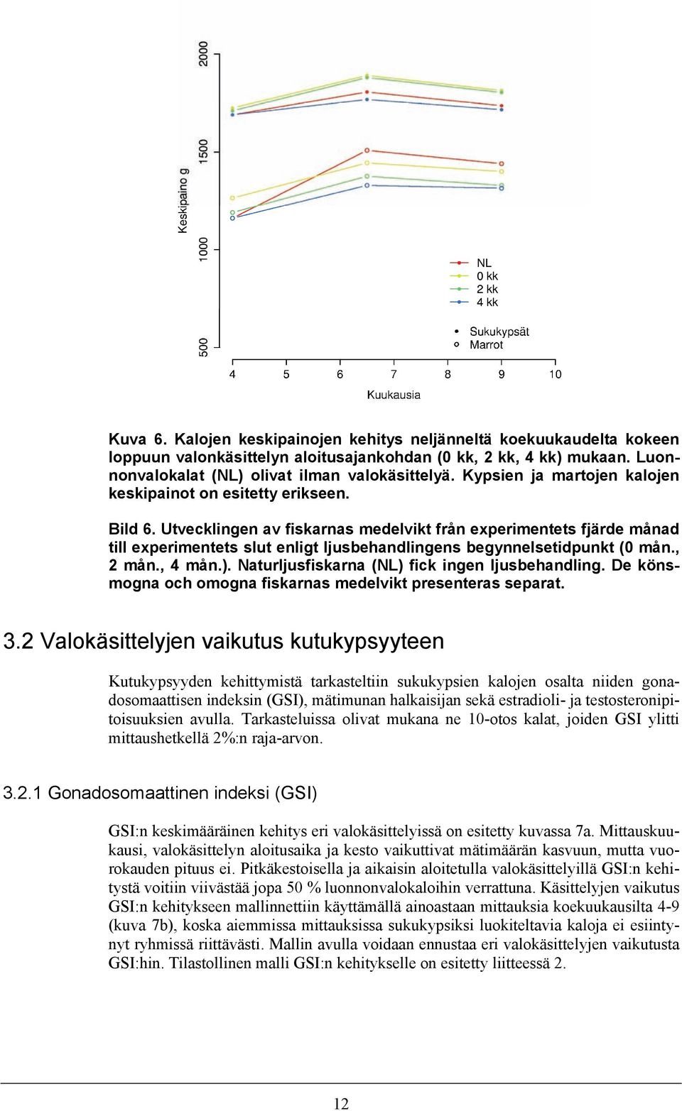 Utvecklingen av fiskarnas medelvikt från experimentets fjärde månad till experimentets slut enligt ljusbehandlingens begynnelsetidpunkt (0 mån., 2 mån., 4 mån.).