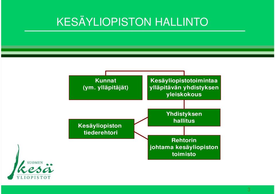 yhdistyksen yleiskokous Kesäyliopiston