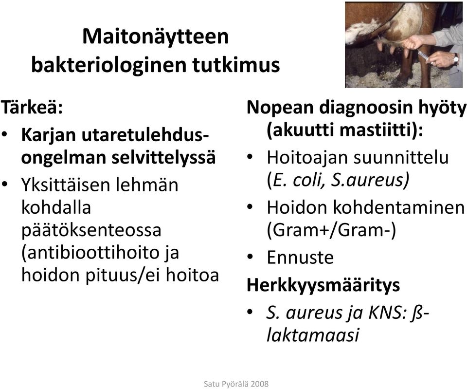 Nopean diagnoosin hyöty (akuutti mastiitti): Hoitoajan suunnittelu (E. coli, S.