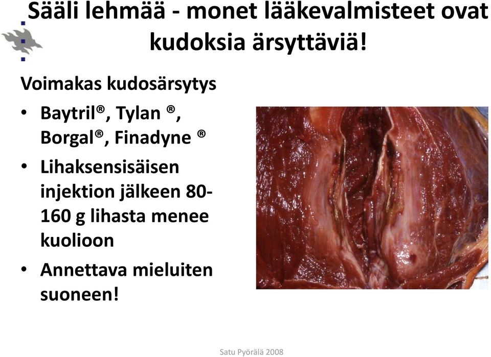 Lihaksensisäisen injektion jälkeen 80-160 g lihasta