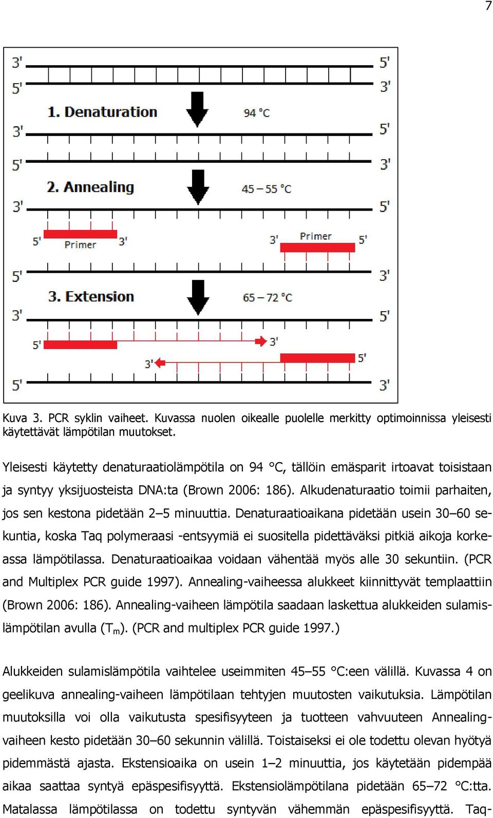 Alkudenaturaatio toimii parhaiten, jos sen kestona pidetään 2 5 minuuttia.