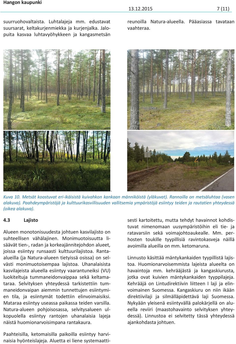 Paahdeympäristöjä ja kulttuurikasvillisuuden vallitsemia ympäristöjä esiintyy teiden ja rautatien yhteydessä (oikea alakuva). 4.