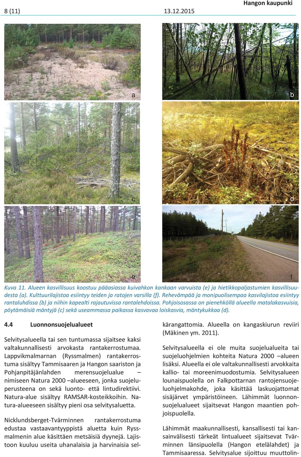 Kulttuurilajistoa esiintyy teiden ja ratojen varsilla (f). Rehevämpää ja monipuolisempaa kasvilajistoa esiintyy rantaluhdissa (b) ja niihin kapealti rajautuvissa rantalehdoissa.