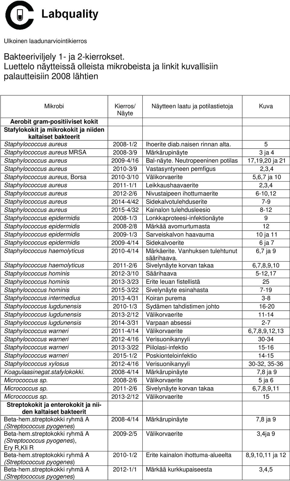 mikrokokit ja niiden kaltaiset bakteerit Staphylococcus aureus 2008-1/2 Ihoerite diab.naisen rinnan alta.