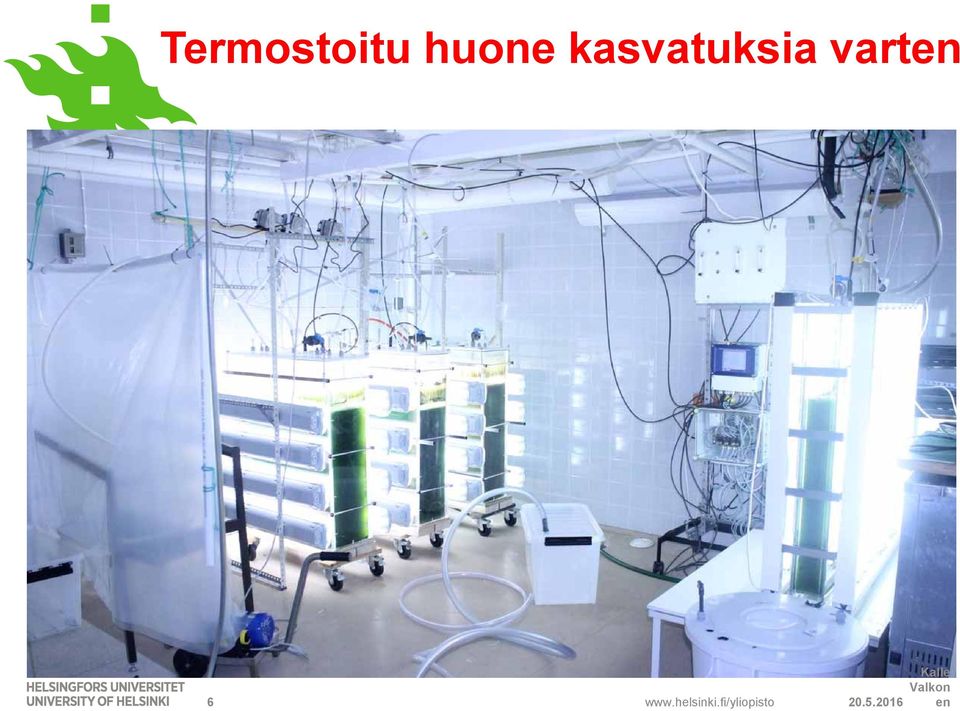 www.helsinki.