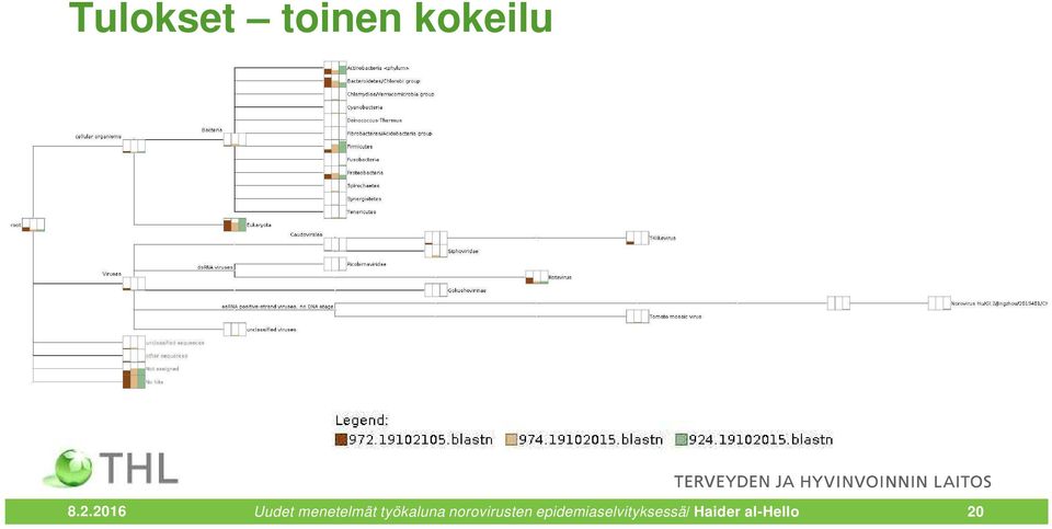 työkaluna norovirusten