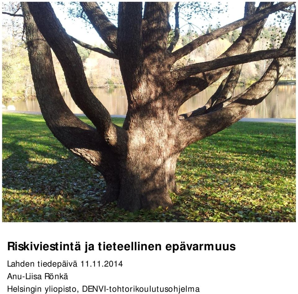 11.2014 Anu-Liisa Rönkä Helsingin