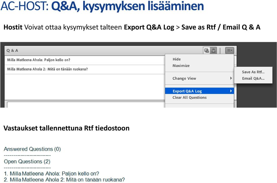 Export Q&A Log > Save as Rtf / Email Q