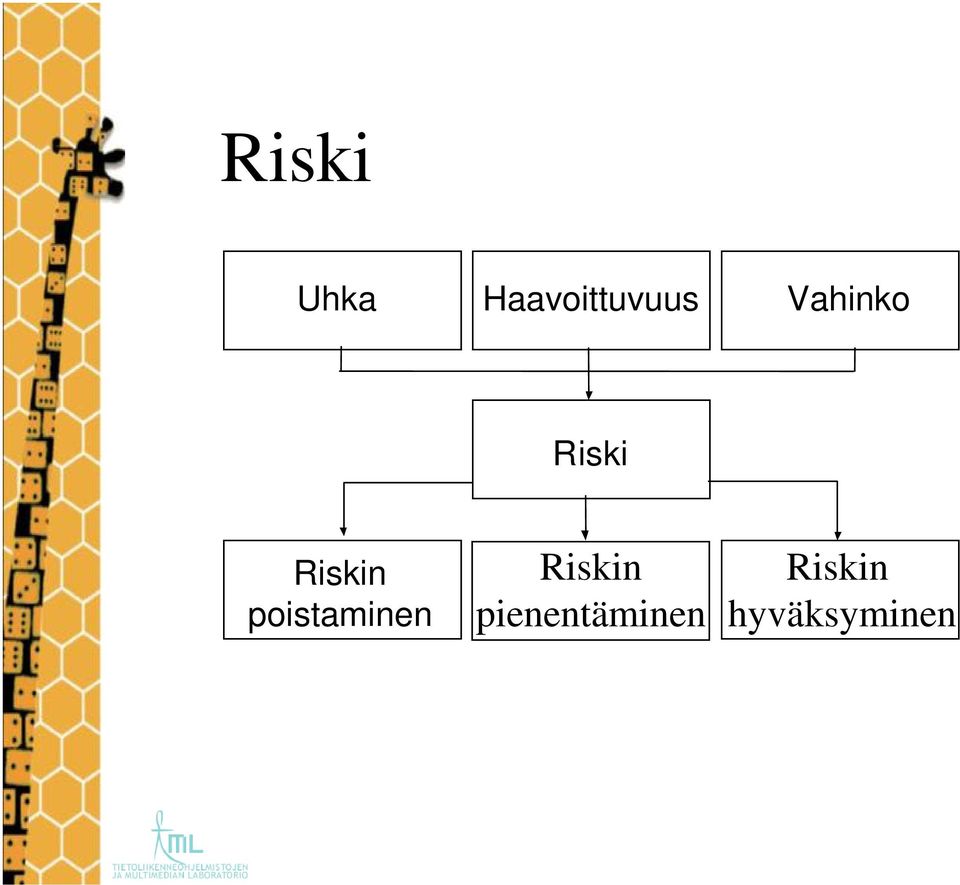 poistaminen Riskin