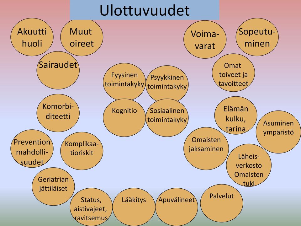 Komplikaatioriskit Status, aistivajeet, ravitsemus Kognitio Lääkitys Sosiaalinen Apuvälineet