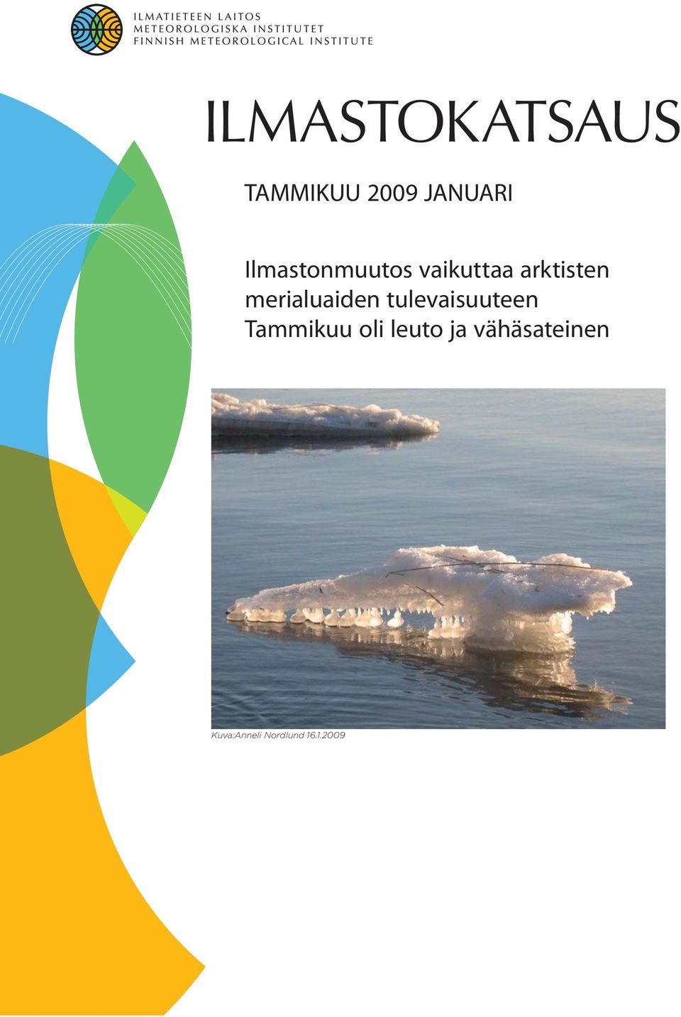 merialuaiden tulevaisuuteen Tammikuu oli