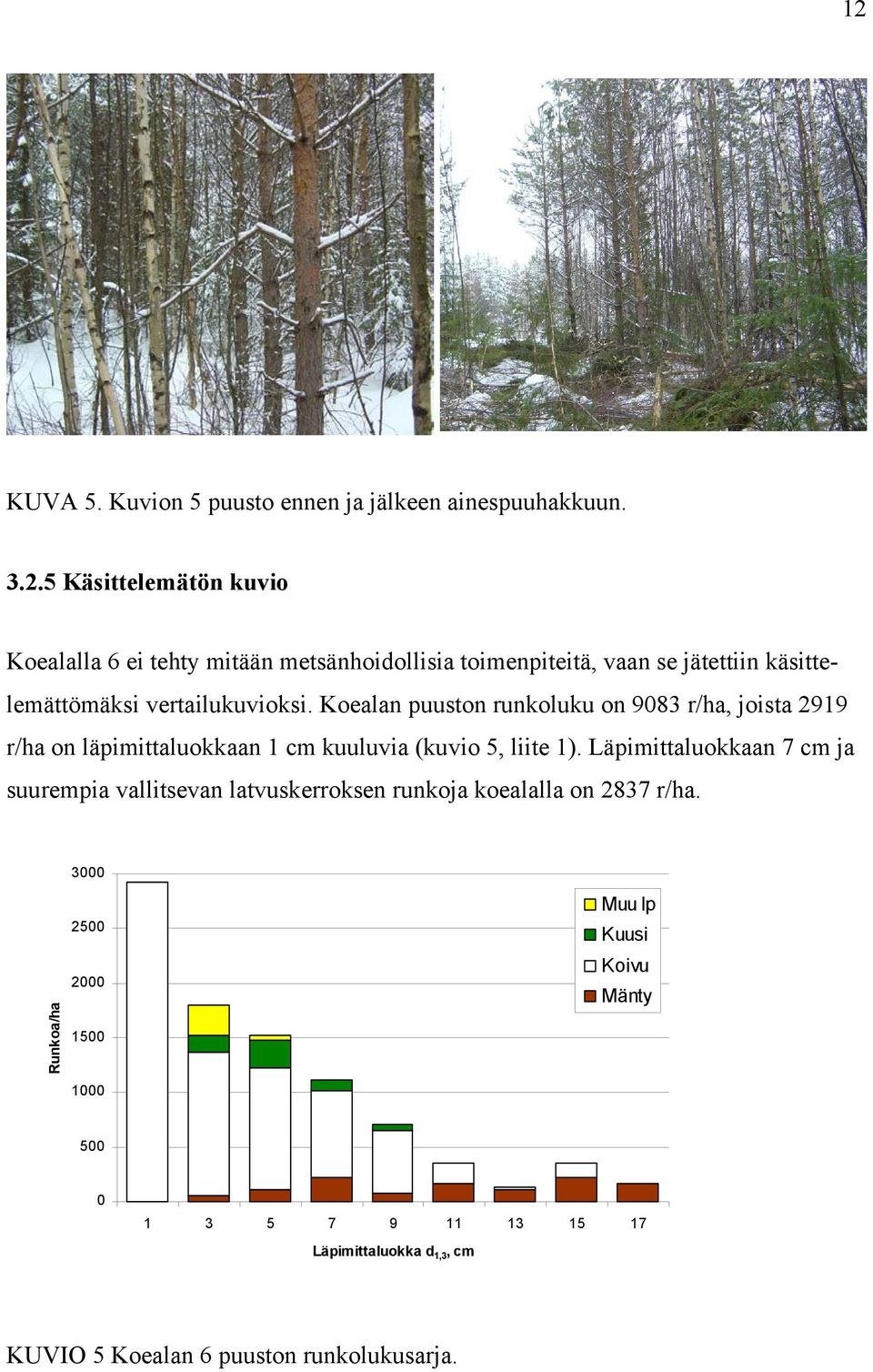 Läpimittaluokkaan 7 cm ja suurempia vallitsevan latvuskerroksen runkoja koealalla on 2837 r/ha.